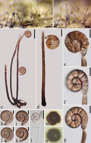 figure 121