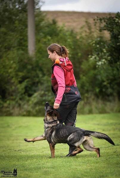 TENEBRIS BOHEMIA - German Shepherd Dog kennel, CHS Tenebris, morpheus anrebri, martina trnkova, GSD, GSD kennel, german