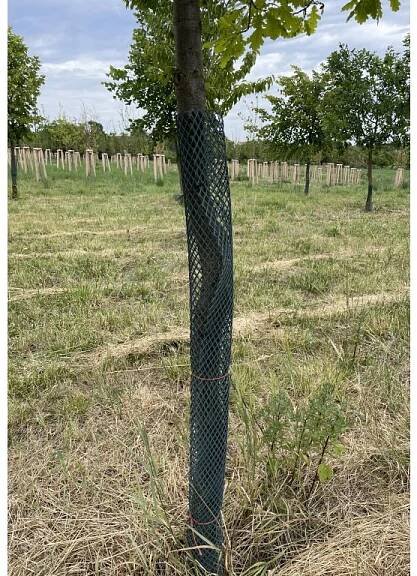 Polynet plastové pletivo - 15m x 0,8m - Plastové pletivo POLYNET ✅ | RaslovyUplet.cz
