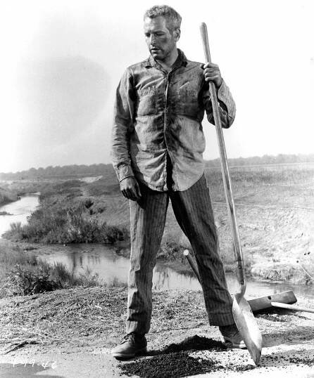 Frajer Luke - Z filmu - Paul Newman