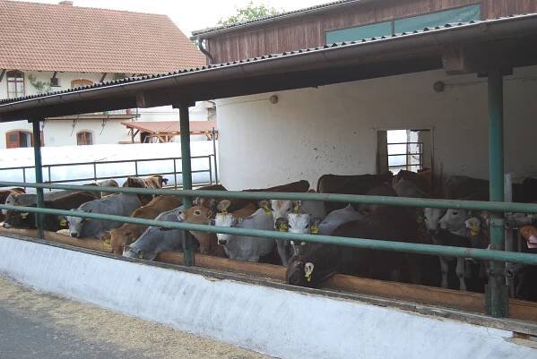 Farma Pojedy | Fotogalerie | Společnost mladých agrárníků