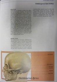 Anatomie člověka, 1995