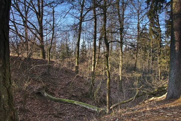 Soubor:Zřícenina hradu Doubravice nad Svitavou, okres Blansko.jpg – Wikipedie