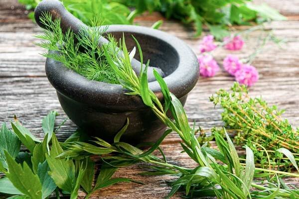 A mortar and pestle with fresh aromatic herbs on a rustic wooden table top.