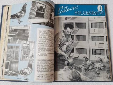 Svázané časopisy - Poštovní holubářství 1960 Svazarm holubi chov - Odborné knihy