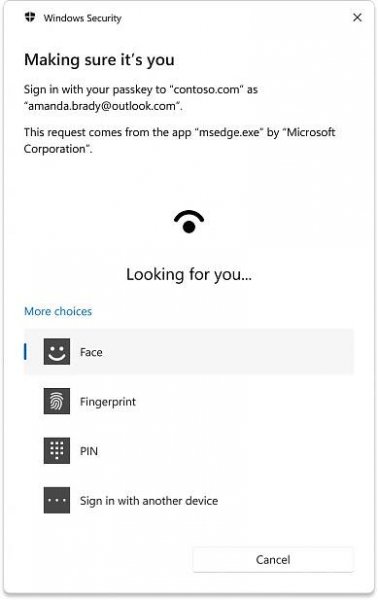 Screenshot showing the Windows Hello prompt for a verification method.