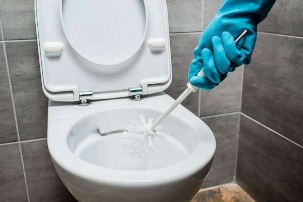 Zřejmě všichni zapomínáme hloubkově vyčistit tuto část naší toalety. Skrývá největší množství bakterií a vodního kamene - Chalupáři-Zahrádkáři