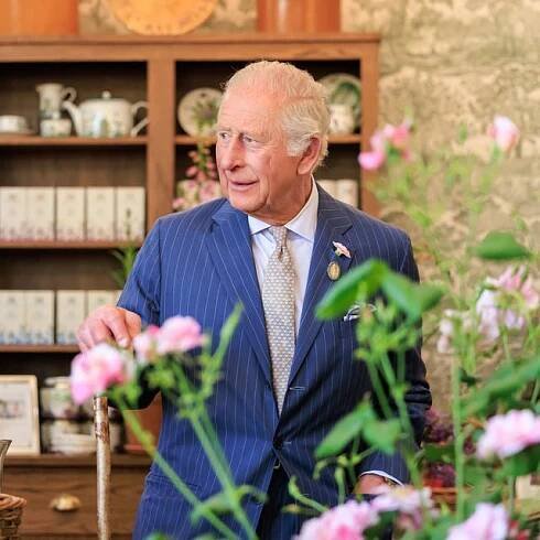 King Charles at Chelsea Flower Show - The King's Rose