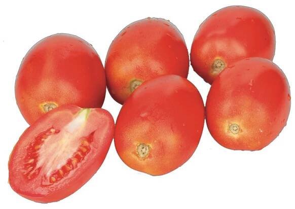 Ovalis Pflaumenparadeiser 550g