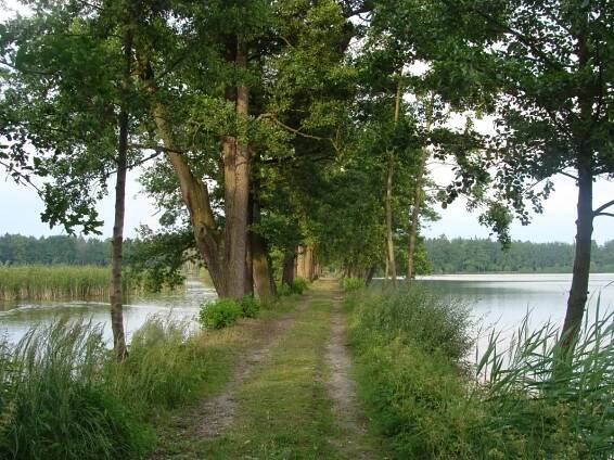 Nadějská rybniční soustava - Třeboňsko - přírodní zajímavosti | Výlety od DDS TOUR