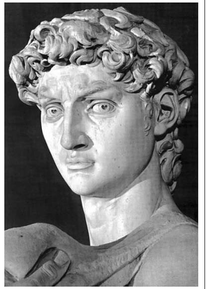primary position while the left eye appears to be looking out to the left (Figure 1). The likely reason why this detail has been unrecognized for hundreds of years is that most viewers have been physically unable to examine the David at eye level and at arms-length. The statue, about 5 metres tall in addition to its supporting pedestal, was meant to be viewed from below and, presumably, at a distance. In 1999, the Digital Michelangelo Project, led by Stanford University and Marc Levoy, professor of computer science and  engineering, rendered a_ three-dimensional computer  model that permitted the work to be viewed from different angles and with varying light intensity and colour modulation.® A digitally rendered direct frontal image—a perspective not easily attainable by photography and  Figure 1. Head of David. On eye level and rotated slightly left (from the statue’s perspective) of the frontal plane, the left eye fixates on the viewer while the right eye appears to be looking at the distance away from the viewer. [Courtesy of The Fine Arts Magazine]  perspective not easily attainable by photography anc  ngles and with varying light intensity and colour 