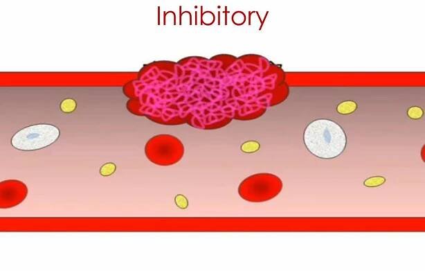 PPT - Co je HEMOSTÁZA? PowerPoint Presentation, free download - ID:3824100