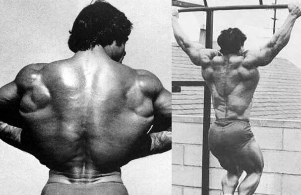 Franco Columbu Back