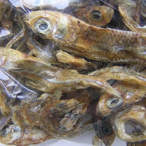 Sušené rybičky 125 g Grýgera | Robimaus - chovatelské potřeby