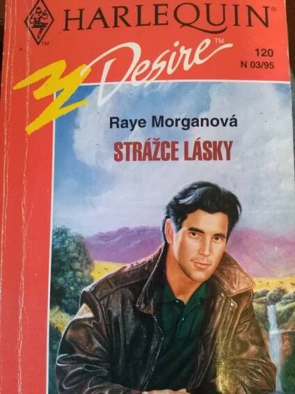 Kniha Strážce lásky - Trh knih - online antikvariát