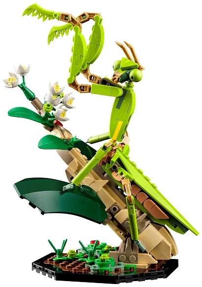 Sbírka hmyzu - Ideas LEGO 21342