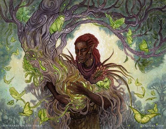 Circle of Dreams Druid - Illustration by Sam Guay