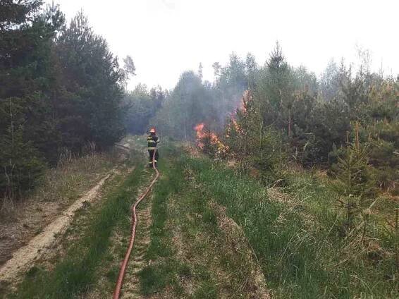 Sucho udeřilo: Na Brněnsku hořel les, hasiči vyhlásili třetí stupeň požárního poplachu
