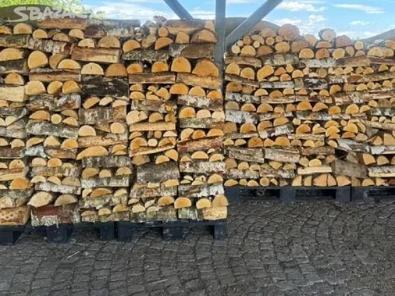 Palivové dřevo   - BŘÍZA