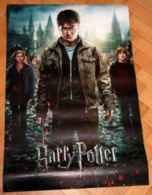 Plakát Harry Potter and Deathly Hallows - undefined