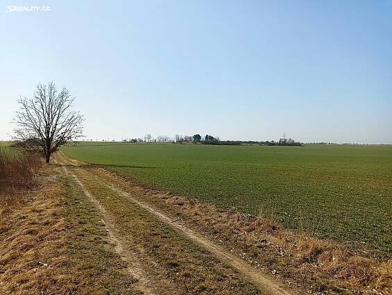 Prodej Pozemek, Pavlov, okres Kladno