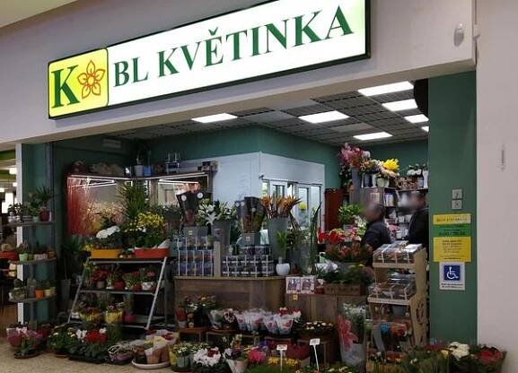 BL KVĚTINKA foto 5