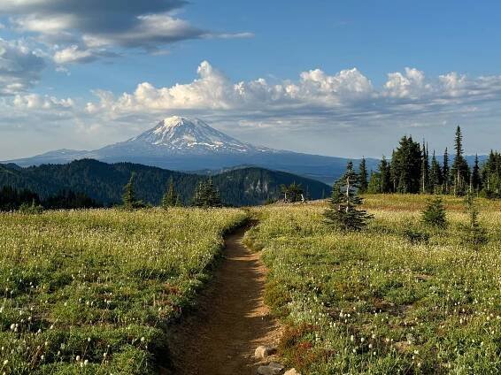 Call to Action Update: Public lands sales