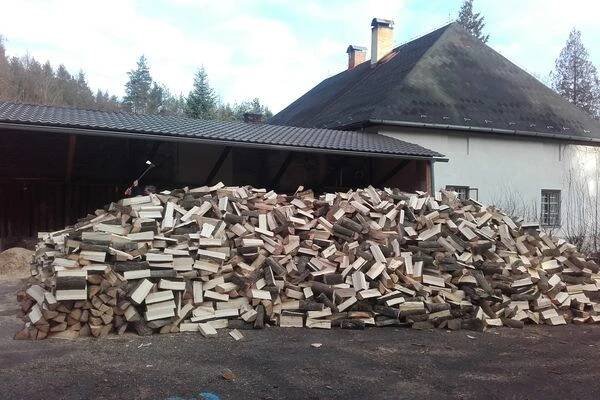 Městské lesy Český Brod foto 1