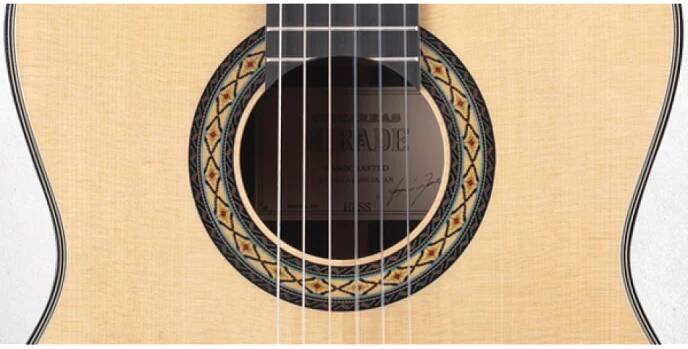 Klasická kytara 4/4 Takamine H8SS | Augustinus.cz