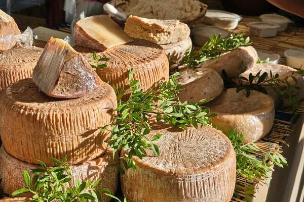 3 Pecorino Cheeses of Sardinia You Should Know | The Cheese Professor