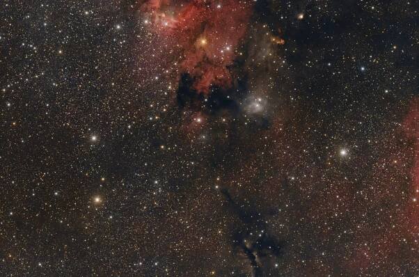 Region West of Sh2-155 (Cave Nebula)