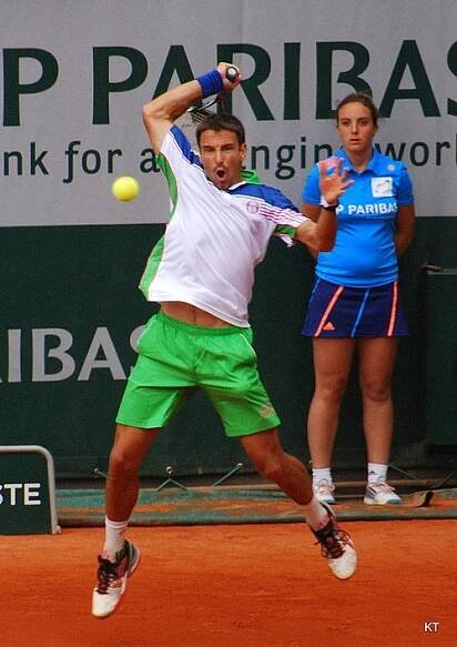 French Open 2014 – mužská dvouhra – Wikipedie