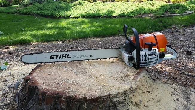Gallery - Arbormax Tree Service