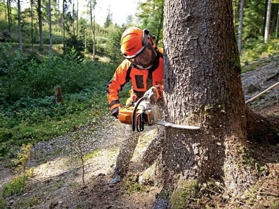 Stihl MS 362 11402000515