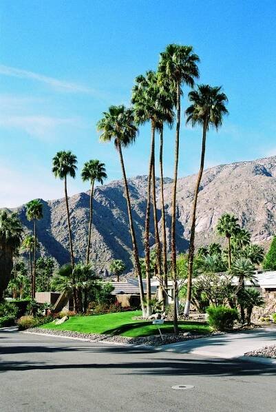 Galerie: Palm Springs: Pouštní klenot posypaný zlatým hollywoodským prachem | Elle.cz