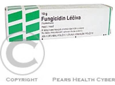FUNGICIDIN LÉČIVA DRM 100000IU/G UNG 10G