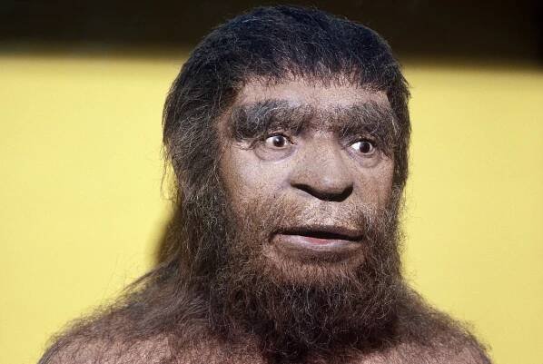 Neandertálci mohli pohřbívat své mrtvé, dokládají to vykopávky z Iráku