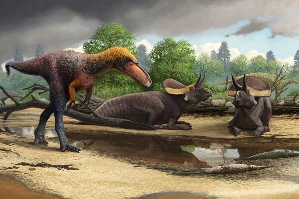 An artist's rendering of the Suskityrannus hazelae