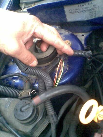 Autodiagnostika Trutnov