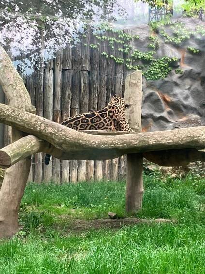 ZOO Olomouc | Základní škola Pardubice-Dubina, Erno Košťála 870