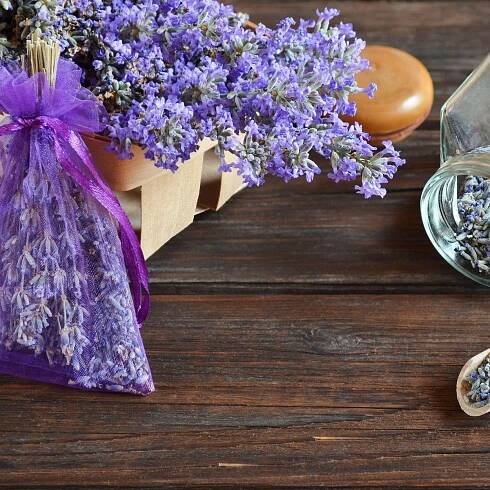 How to pimp up your home with lavender plants