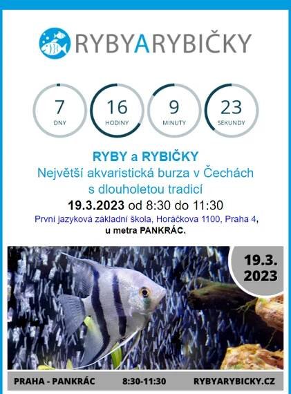 _  Akvaristická burza  Praha/Pankrác  - 19.3.2023