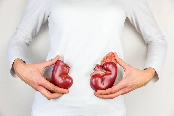Varovné příznaky závažného onemocnění ledvin nesmíte přehlížet: Tělo vás upozorňuje včas, ale vy ho ignorujete!