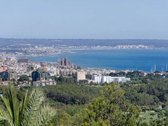 Cityscape view of Palma de Mallorca, Spain, with the cathedral, buildings, and blue sea under a clear sky. Green trees in foreground.