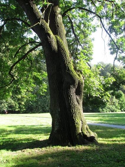 park Boženy Němcové
