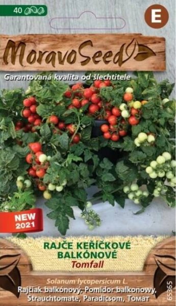 MoravoSeed Rajče keříčkové balkónové Tomfall 40 ks od 34 Kč
