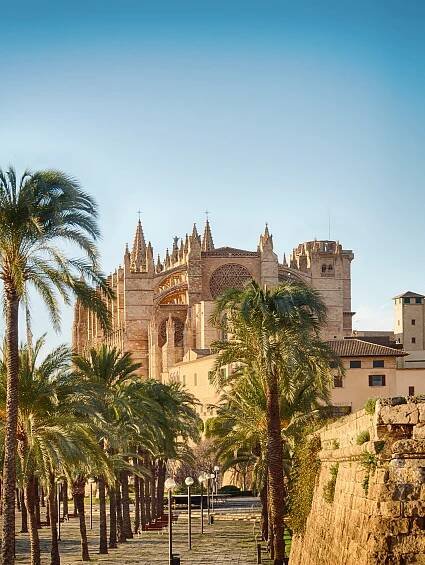 A stunning view of the historic cathedral rising above palm trees in Palma de Mallorca under a clear blue sky | MSC Cruises