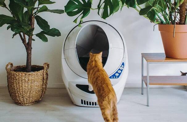 Litter-Robot 3