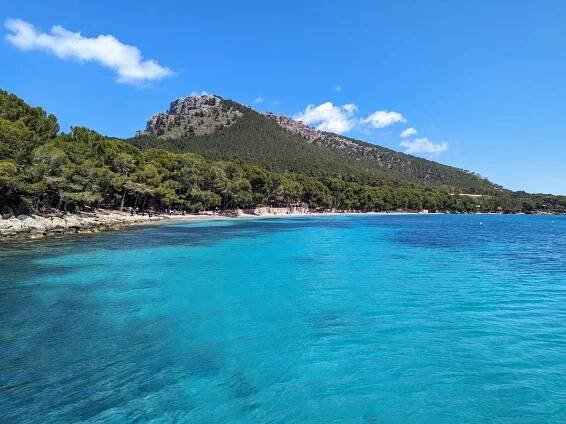 Mallorca Off-season With Kids: 10 Wonderful Things to Do - Grazy Goat