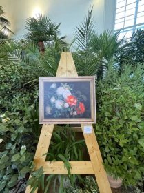 OBRAZEM: Kroměřížské zahrady provoněly kamélie